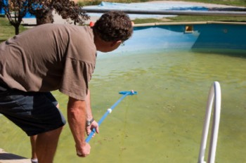 Man cleaning the pool