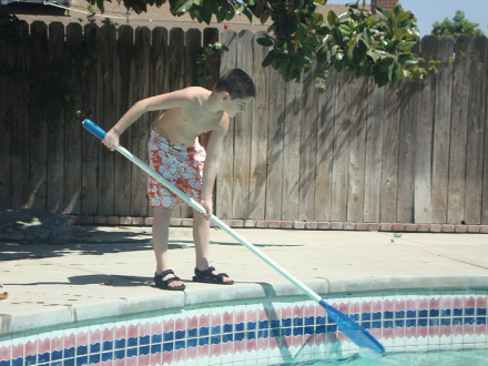 boy skimming leaves and debris in the pool using a skimming net