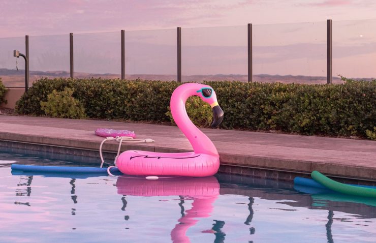 Pool Toys in the Pool