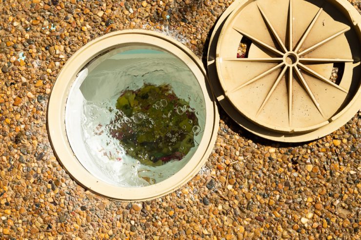 Skimmer basket full of leaves.