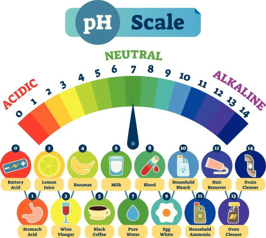 pH scale diagram shows the pH of common things such as milk, saltwater pools, and other household items.