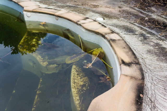 muddy and dirty swimming pool