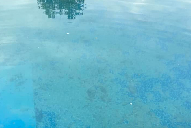 Green algae on pool pool liner bottom
