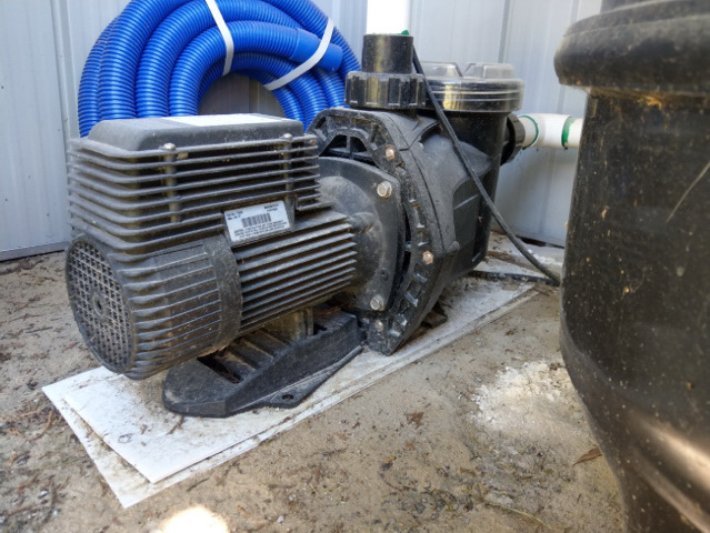 Swimming pool pump