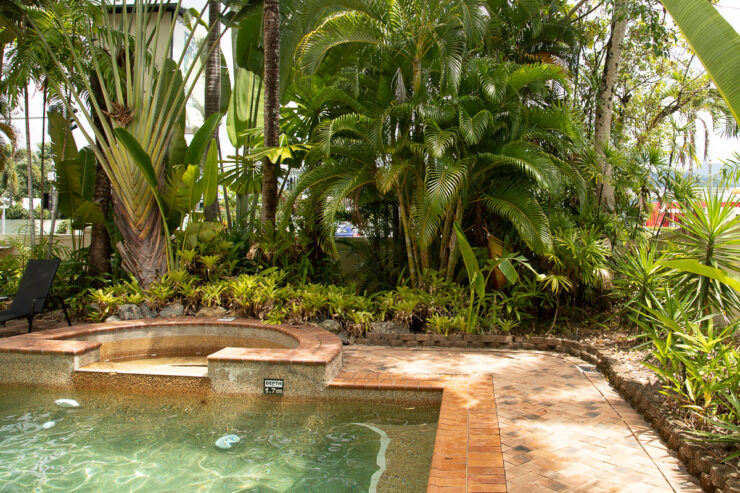 Tropical swimming pool garden.
