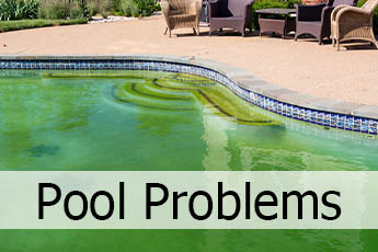 Inground green pool full of algae.