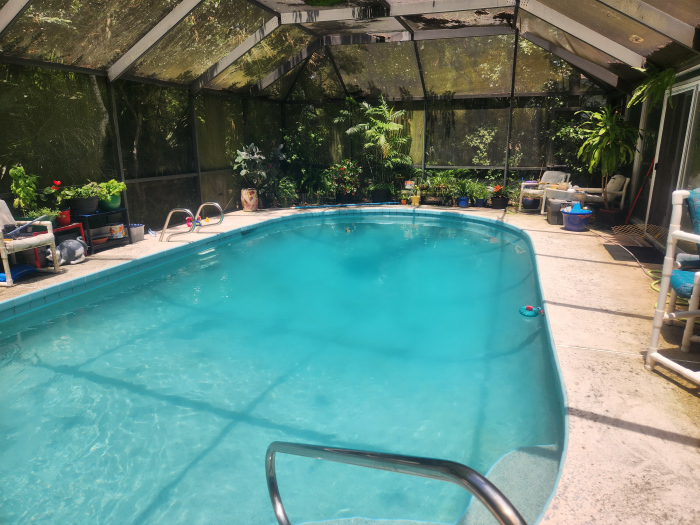 Inground pool after shocking and vacuuming green algae.