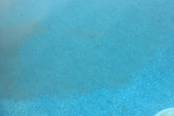 dead algae on pool floor