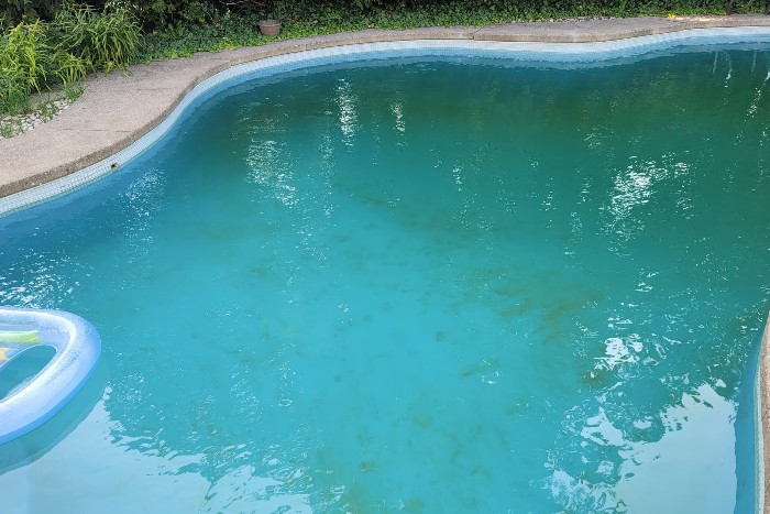 inground pool with mustard algae