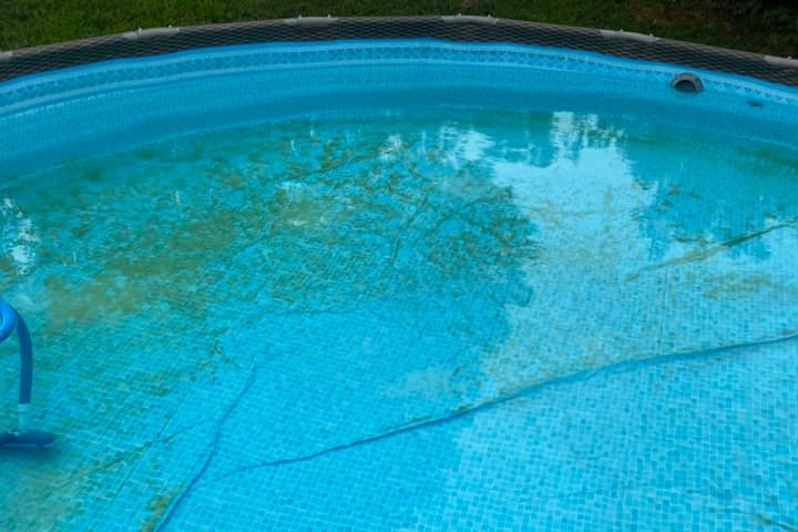 yellow or mustard algae on pool floor